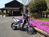 ローカル線の春。