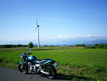 初夏の高原