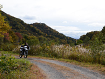 林道ウォーキング