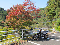 秋の始まり。