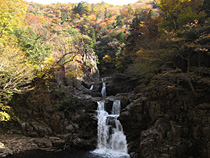 滝と紅葉