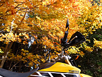 紅葉とＷＲ２５０Ｒ