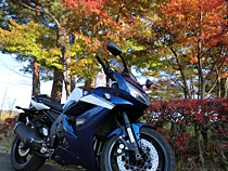 GTと紅葉