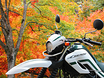 紅葉狩りツーリング