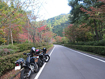 始まった紅葉