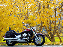 季節の中で・・・