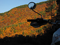 紅葉真っ盛り！