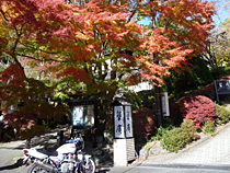 紅葉とＸＪＲ