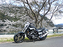 V-MAXで春を満喫