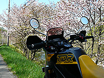 すべてが・・・