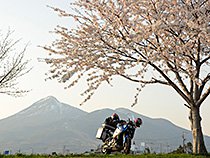 春の夕暮れ磐梯山と桜