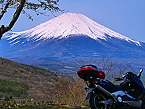 桜、富士山、愛車