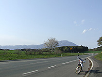 散りかけた桜と