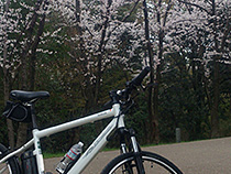 サイクリングなう。