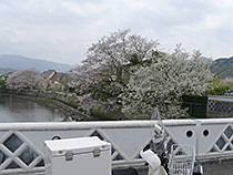 ときわ大橋から