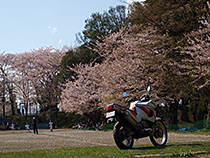 まわれまわれ！