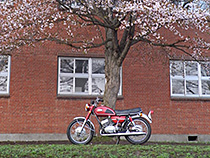 レンガ校舎とDS6