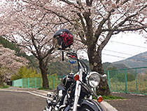 ダムツーリング！