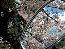 定番写真ですが・・・