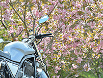 春の陽ざしに包まれて