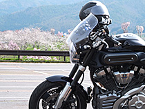 桜ツーリング
