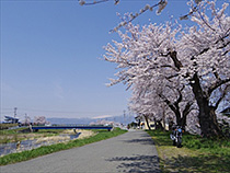 うららかな休日