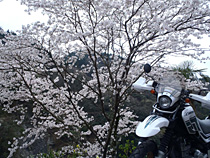 たまには・・・。