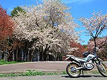 花見ツーリング・壱