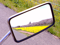 ミラー越しに写る春