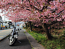 ちょっとひと休み