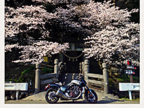 v-max1700
