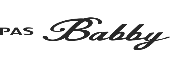 PAS Babby un SP リヤチャイルドシート標準装備モデル（2020～2021）