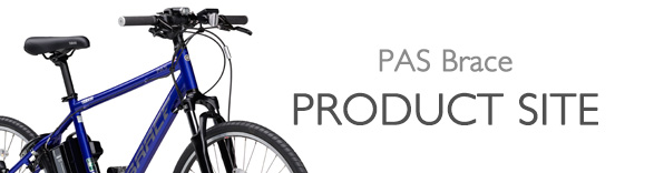 PAS Brace（～2021） - バイク用品・バイクパーツ | ヤマハ発動機グループ ワイズギア