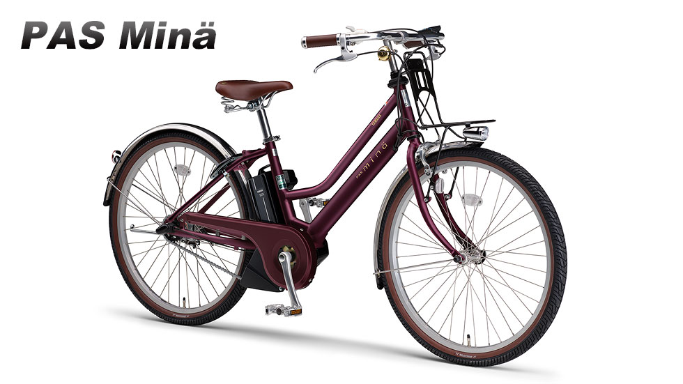 PAS Mina（2015～2021）