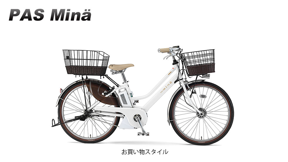 PAS Mina（2015～2021）