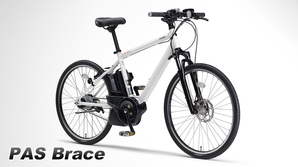 PAS Brace（2017～2019）