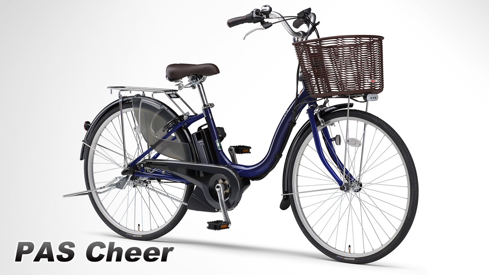 PAS Cheer(2020~2021)