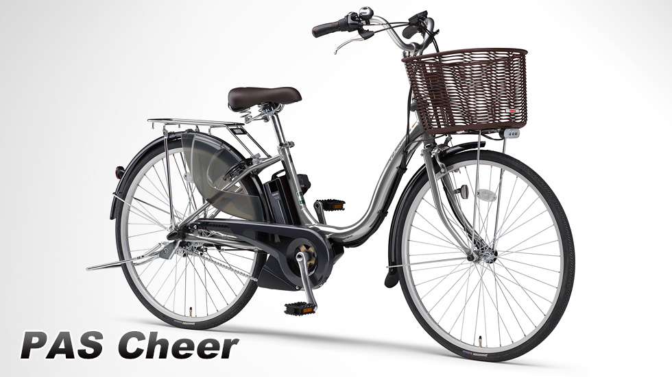 PAS Cheer(2020~2021)