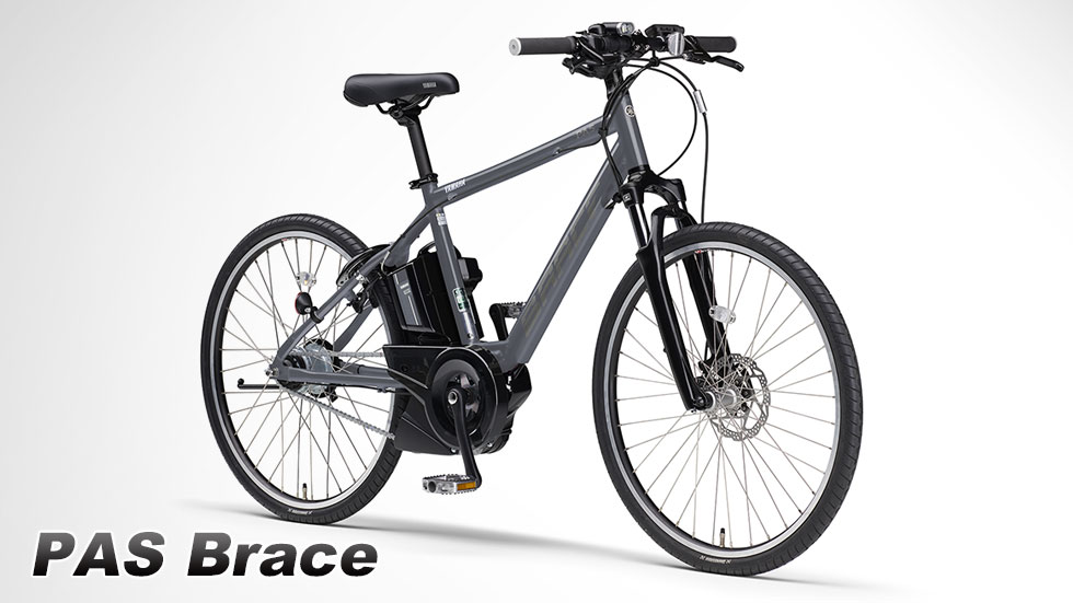 PAS Brace（～2023）